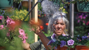 Triangle residents face penalties and fines as water restrictions rise