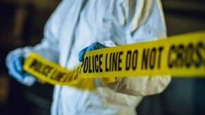 One person found dead after Apex vehicle fire; police are investigating