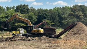 Mulching natural habitat? Birders at Dix Park raise concerns for a rare species