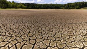 Raleigh’s water restrictions have not done enough. What the city could do next.