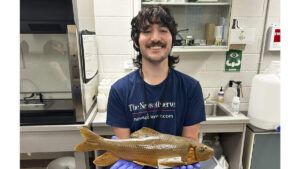 It took 60 years to name this rare NC fish. Now the state can act to save it.