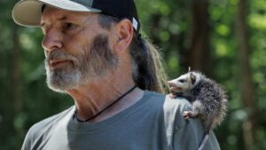 Lemurs, gators, a hero dog and homeless deer: Josh Shaffer’s recent critter columns