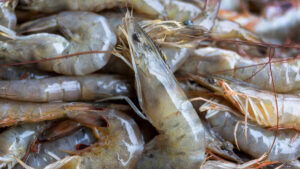 Some NC restaurants advertising ‘wild-caught’ shrimp aren’t actually selling it