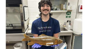It took 60 years to name this rare NC fish. Now the state can act to save it.
