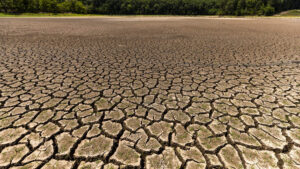 Is recent rain enough to get rid of North Carolina’s drought?